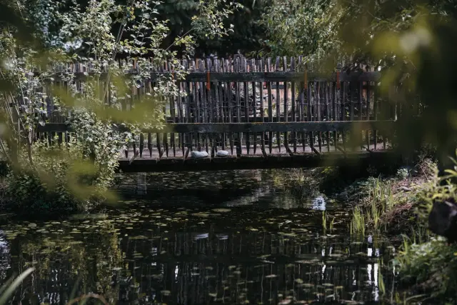 Holzsteg mit Staketenzaun über einem Weiher